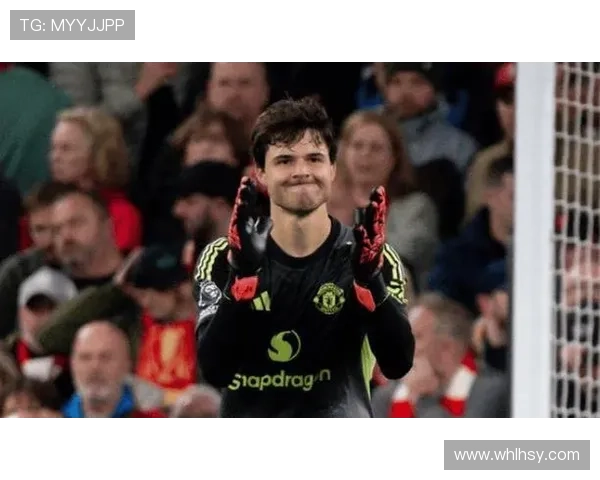 费迪南德称拉门斯大脚助曼联踢得更直接稳固防线提升整体安全感